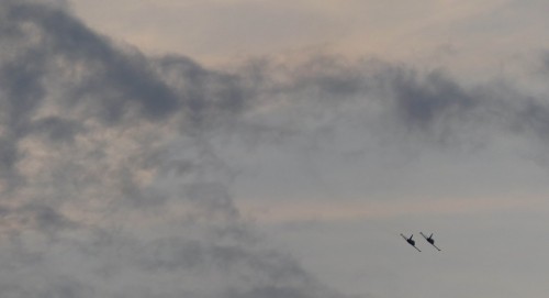 Flight-201bfc7.jpg
