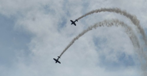 Flight-21c8ec2.jpg
