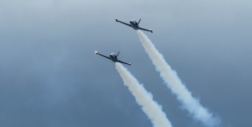 Flight-269e1fe.jpg