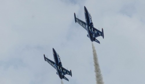 Flight-27523b0.jpg