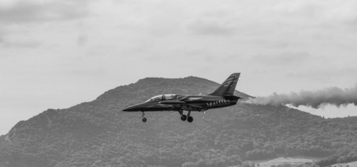 Flight-4dafbb.jpg