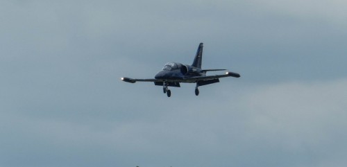Flight-771ab4.jpg