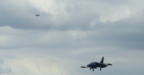 Flight-8fddd7.jpg