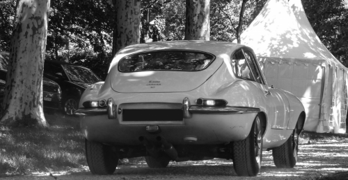 E-Type-433446.png