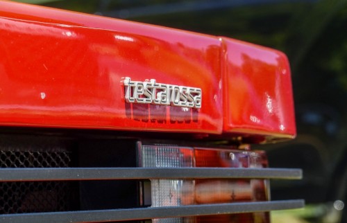 Testa-51f3e3.jpg