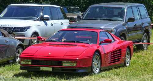 Testa-77b9e5.png