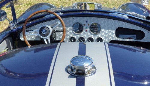 Cobra-201687.jpg