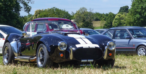 Cobra65808.png