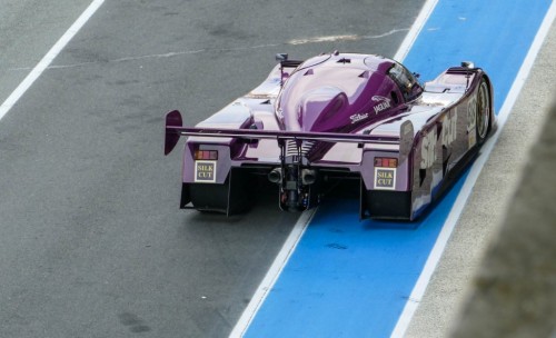 LM2018-24623393.jpg