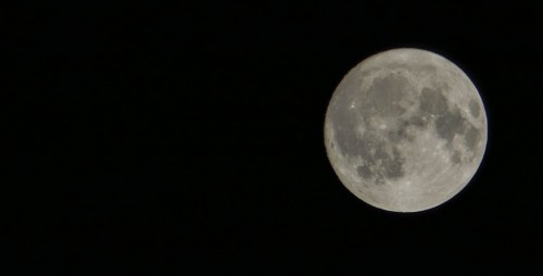 luna20dff9.jpg