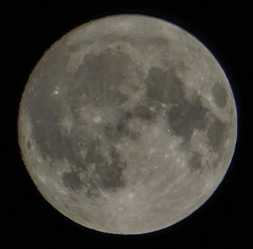 luna365075.jpg
