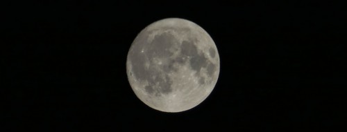 luna55ba68.jpg
